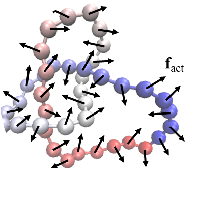 3dBrownian